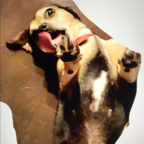 Meet your Posher, Isabella - Picture 1 of 1